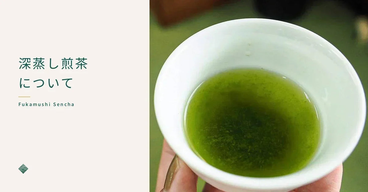 深蒸し煎茶とは｜普通の煎茶との違い、味わいの特徴とおいしい淹れ方