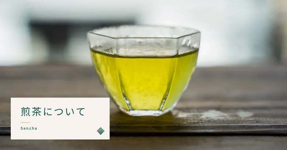 煎茶とは｜特徴と味わいの違い、玉露・深蒸し煎茶との違い、おいしい淹れ方まで