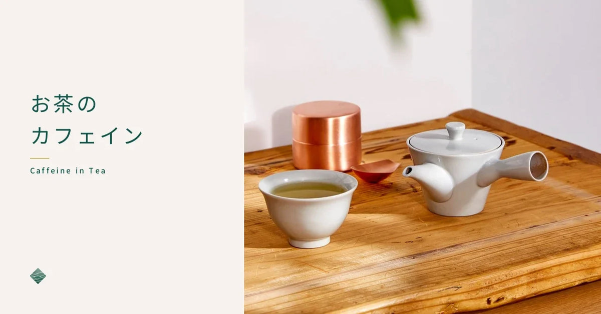お茶にカフェインは含まれる？茶種ごとの量と、淹れ方で変わる出方を解説